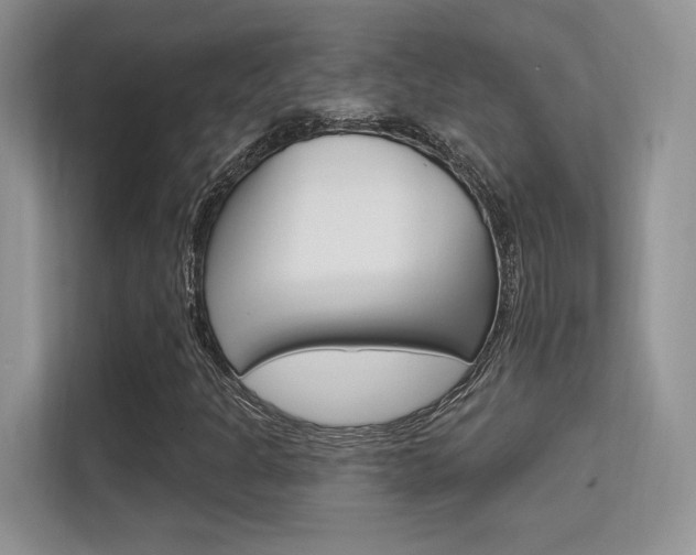 X0000112351301200908131006