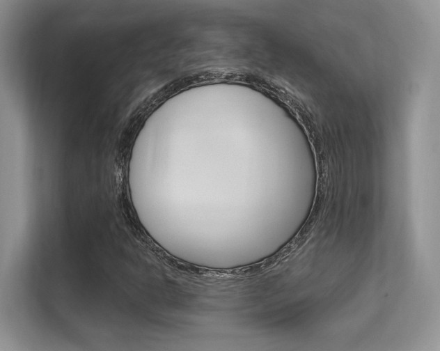 X0000112351302200908131006