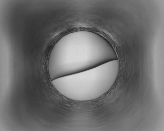 X0000112351303200908131006