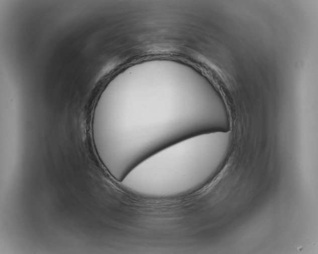 X0000112351306200908131006