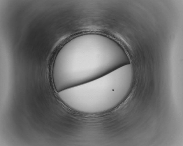 X0000112351307200908131006