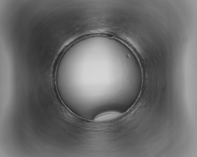 X0000112351308200908131006