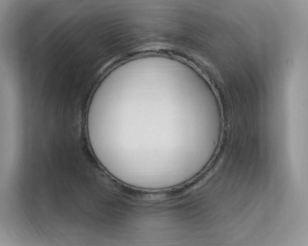 X0000112351313200908131006