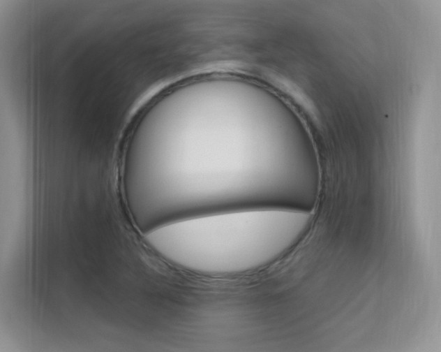 X0000112351316200908131006