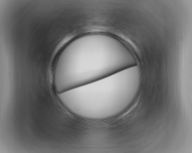 X0000112351317200908131006