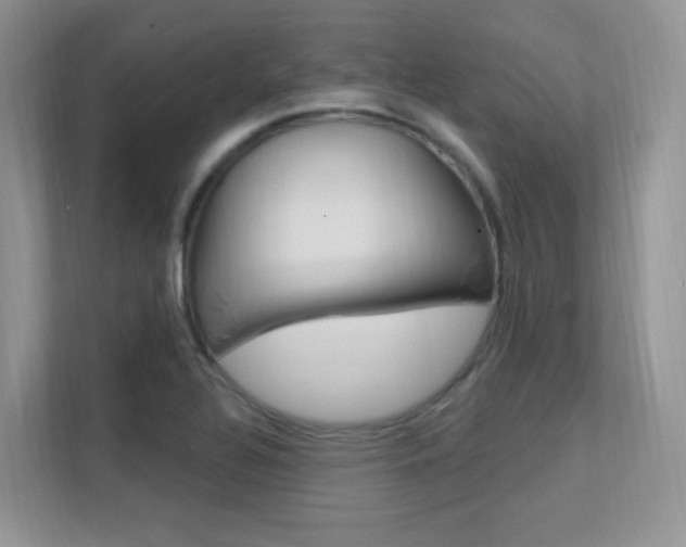 X0000112351320200908131006