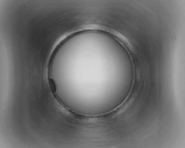 X0000112351326200908131006