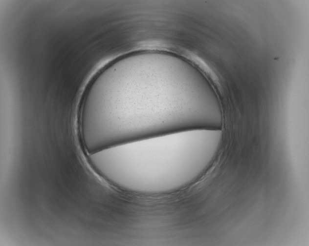 X0000112351331200908131006