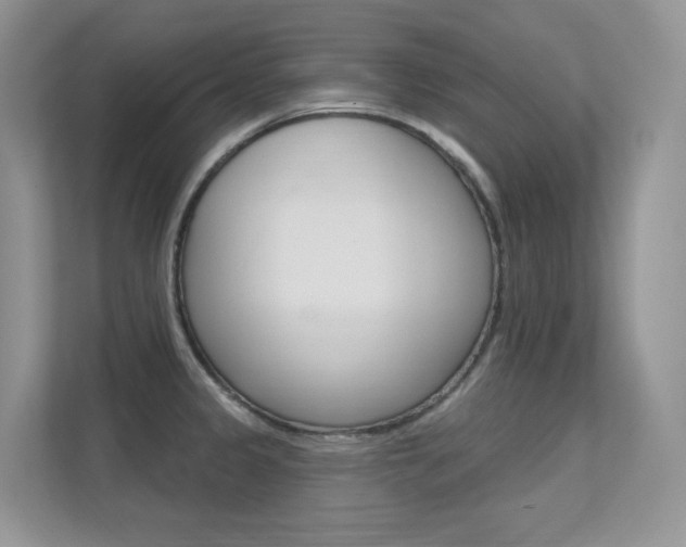 X0000112351333200908131006