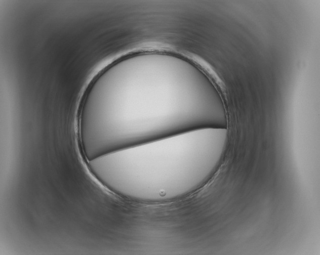 X0000112351335200908131006