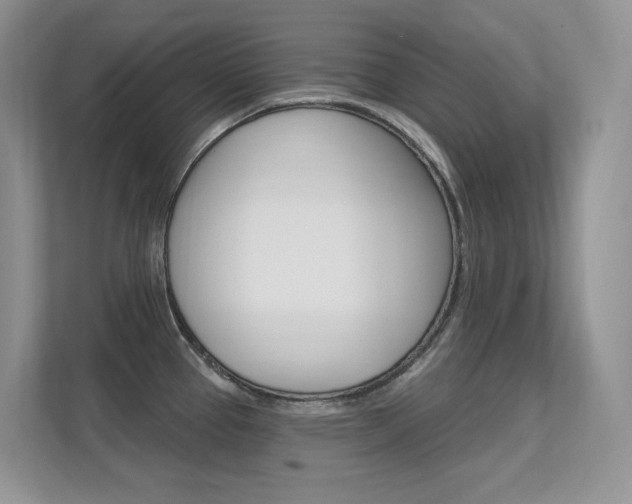 X0000112351337200908131006