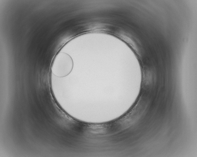 X0000112351338200908131006