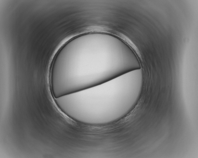 X0000112351339200908131006