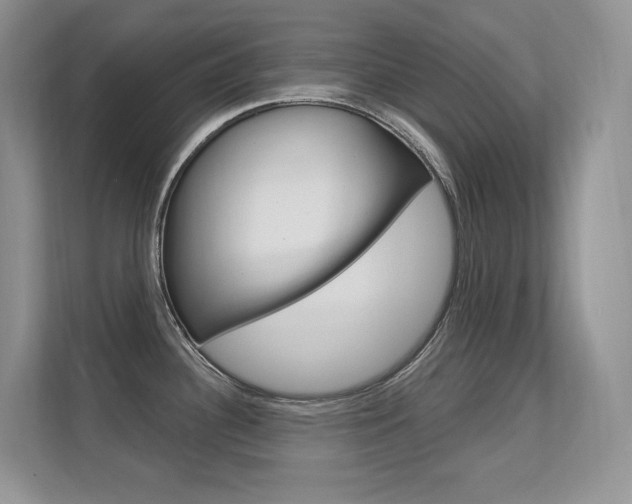 X0000112351340200908131006