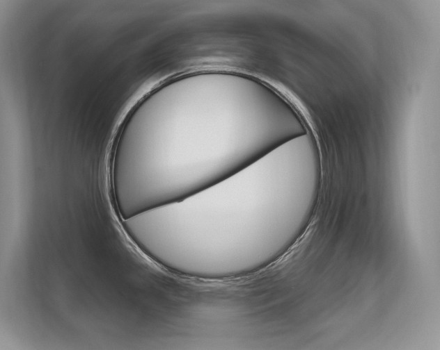 X0000112351341200908131006