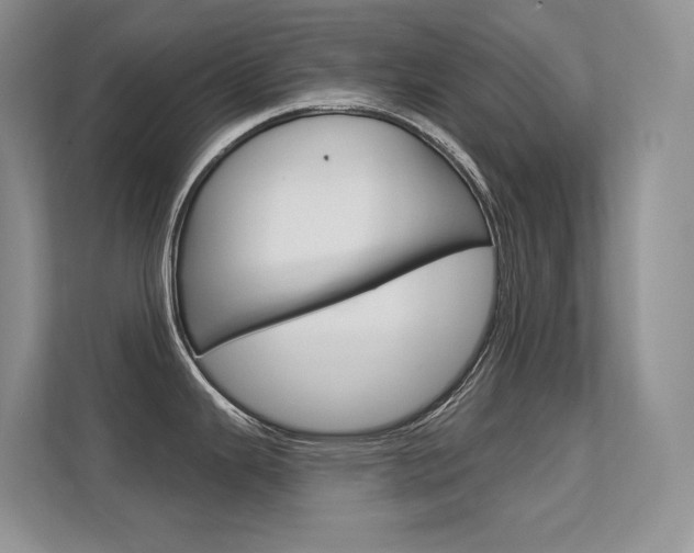 X0000112351343200908131006