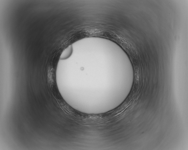 X0000112351346200908131006
