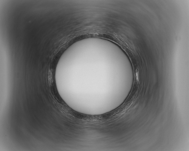 X0000112351347200908131006