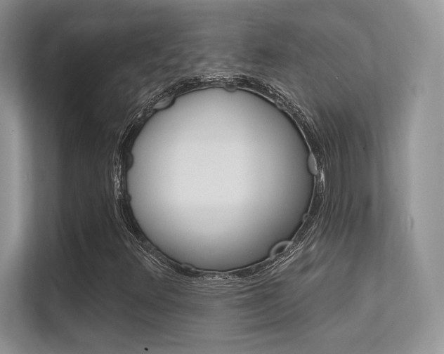 X0000112351348200908131006