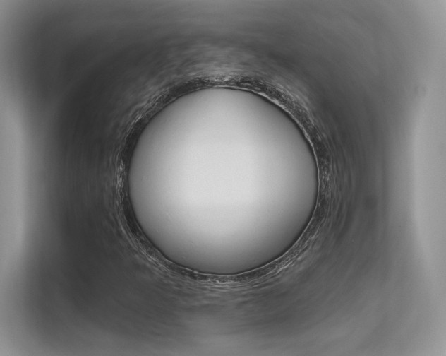 X0000112351349200908131006