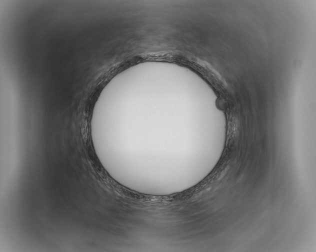 X0000112351350200908131006