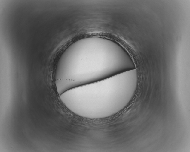 X0000112351351200908131006