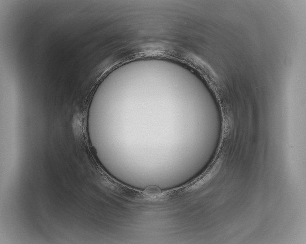 X0000112351353200908131006
