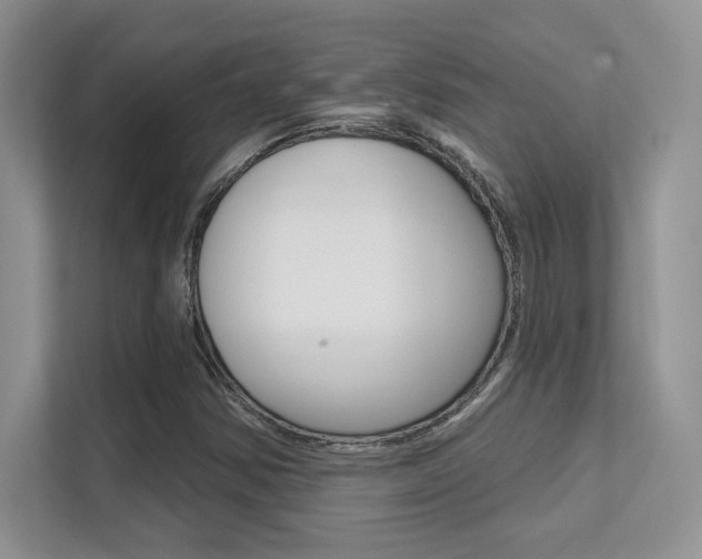 X0000112351354200908131006