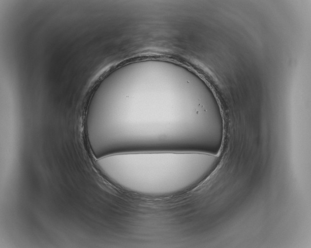 X0000112351355200908131006