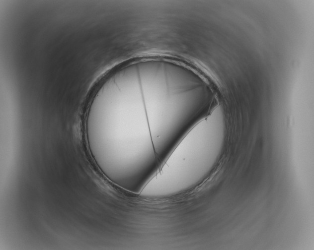 X0000112351356200908131006