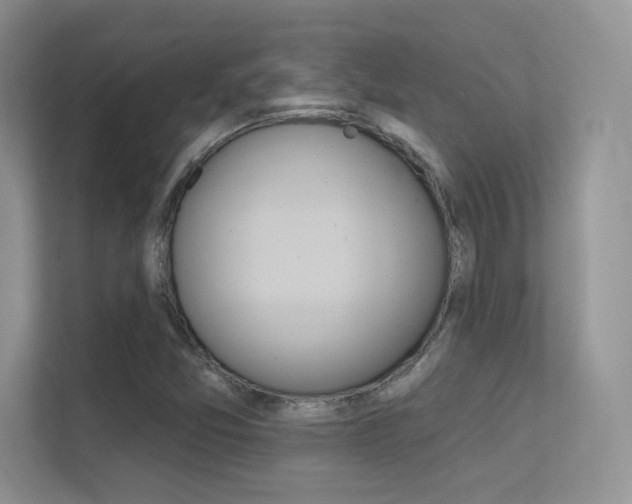 X0000112351357200908131006