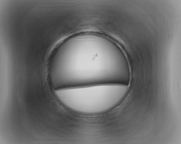 X0000112351359200908131006