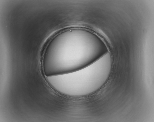 X0000112351360200908131006