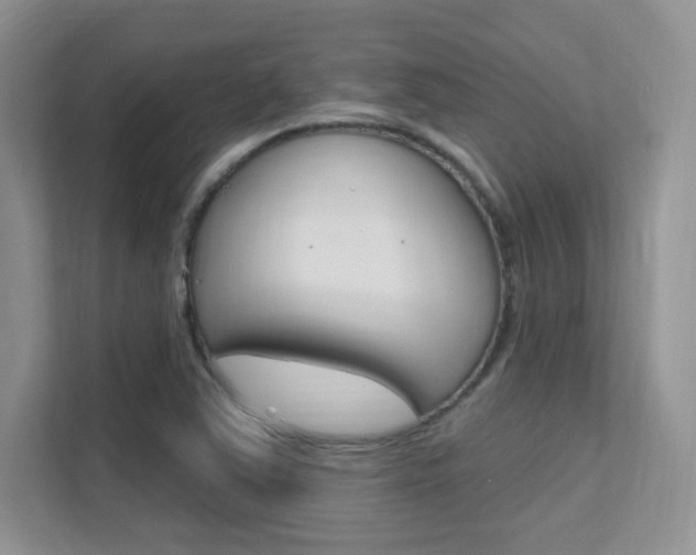 X0000112351363200908131006