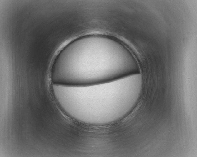 X0000112351367200908131006