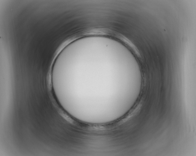 X0000112351370200908131006