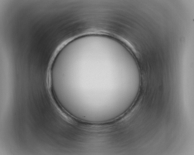 X0000112351371200908131006