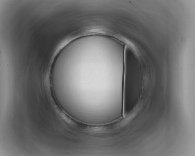 X0000112351373200908131006