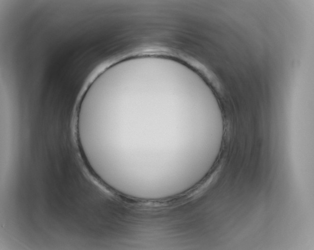 X0000112351374200908131005