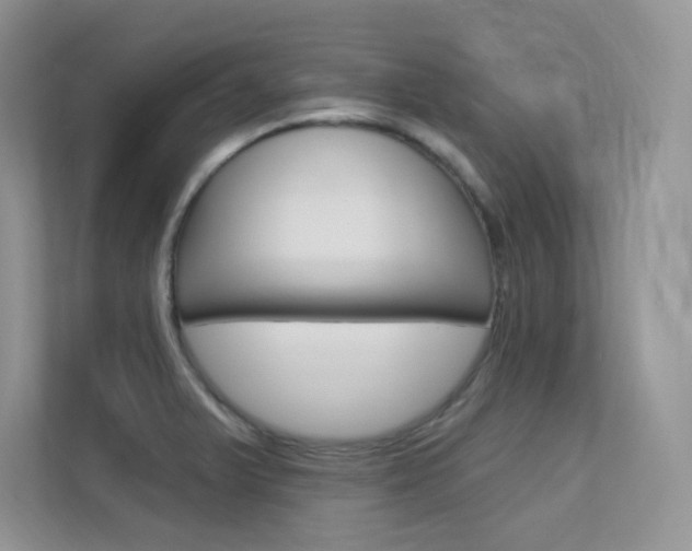 X0000112351375200908131005