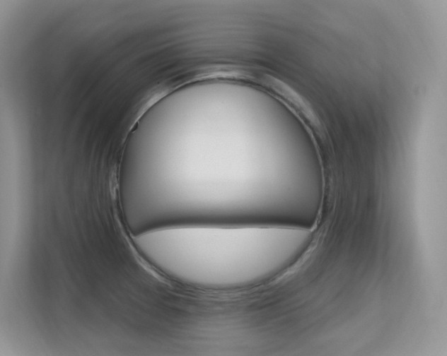 X0000112351377200908131005