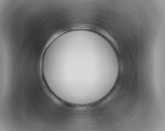 X0000112351378200908131005