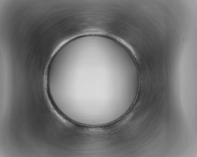 X0000112351383200908131005
