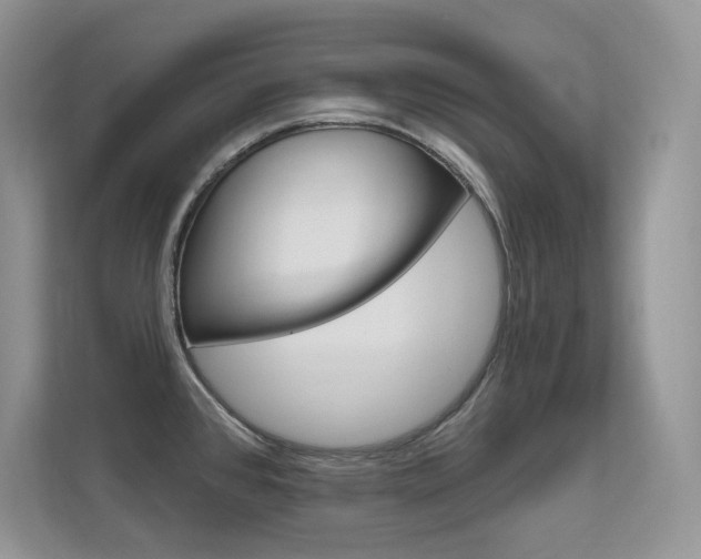 X0000112351384200908131005