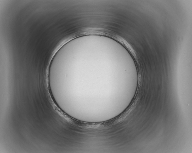 X0000112351386200908131005