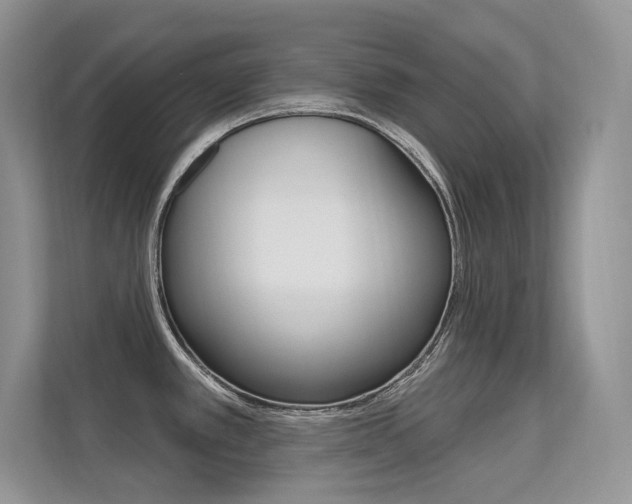 X0000112351389200908131005