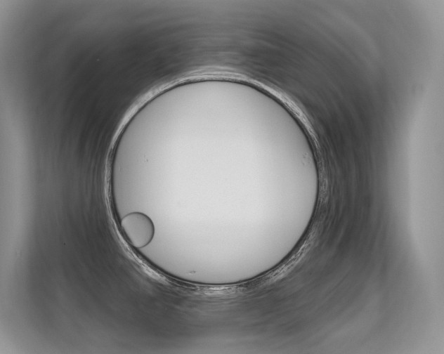 X0000112351390200908131005