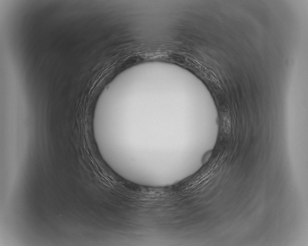 X0000112351393200908131005
