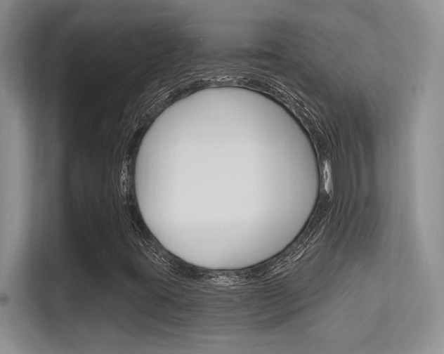 X0000112351395200908131005