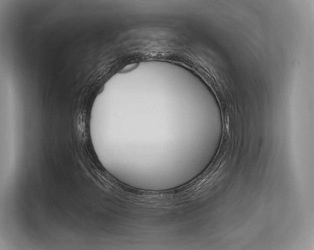 X0000112351396200908131005